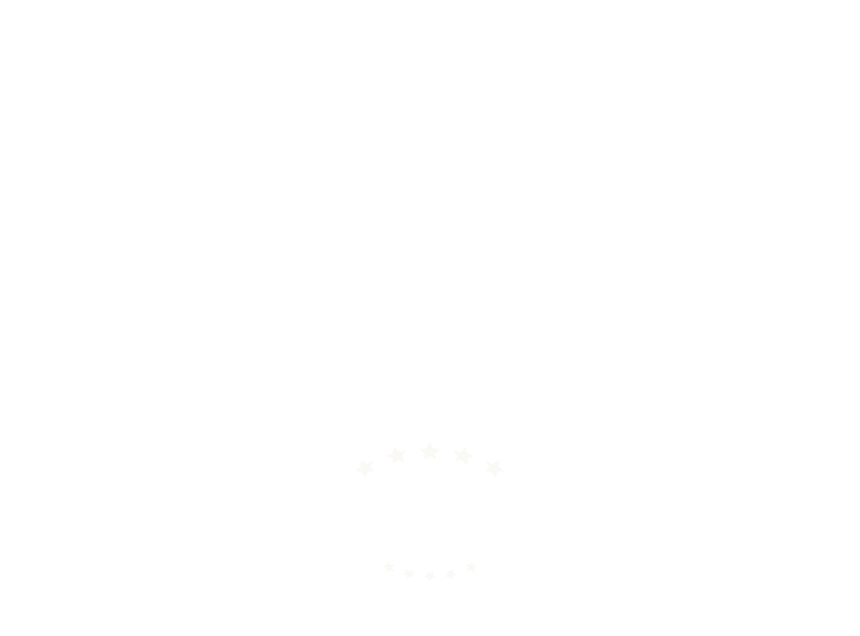 Expert solar insignia