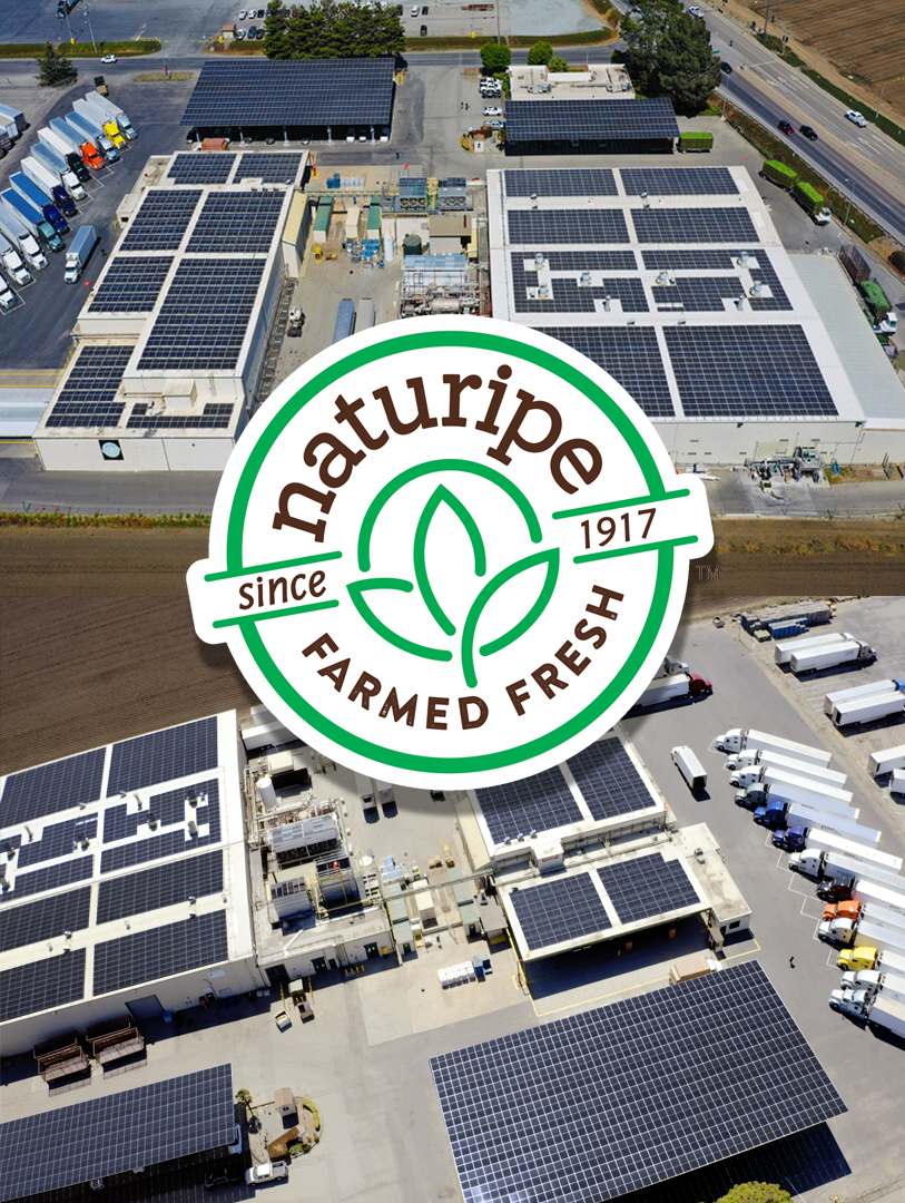 commercial solar